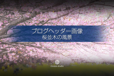 ブログヘッダー用無料画像：桜並木の風景 河津桜と菜の花 4素材