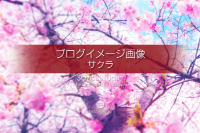 ブログ記事用無料イメージ画像：春のシリーズ桜の花（2）４素材