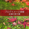 ブログ記事用無料イメージ画像：紅葉の落ち葉 苔の上のモミジ４素材