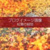 ブログ記事用無料イメージ画像：秋の風景紅葉の絨毯 ４素材