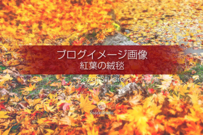ブログ記事用無料イメージ画像：秋の風景紅葉の絨毯 ４素材