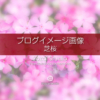 ブログ記事用無料イメージ画像：アイキャッチピンクの芝桜 ４素材
