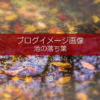 ブログ記事無料アイキャッチ画像：紅葉 池の中の落ち葉４素材｜写真を楽しむブログ 写真ブログ素材