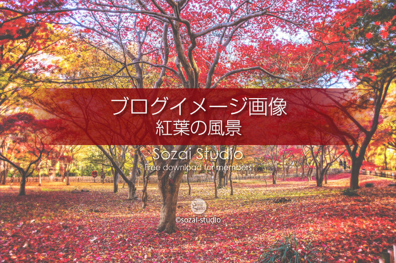 ブログ記事無料アイキャッチ画像：紅葉の風景 カエデ園４素材｜素材スタジオ