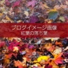 ブログ記事無料アイキャッチ画像：色とりどり紅葉の落ち葉４素材