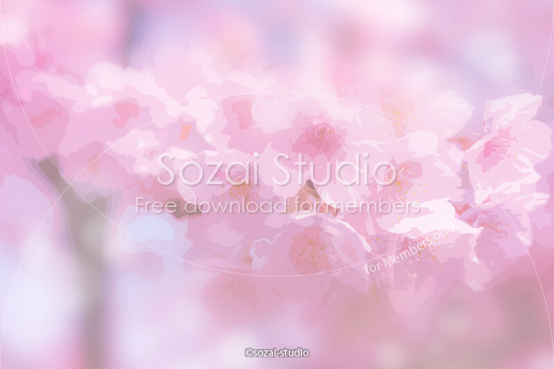 ブログ記事用無料イメージ画像：春のシリーズ桜の花（１）｜素材スタジオ