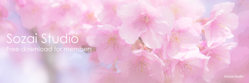 ブログヘッダー用無料画像：春のシリーズ桜の花｜素材スタジオ