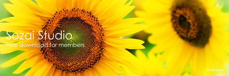 ブログヘッダー用無料画像：夏の代表格 ひまわりの花 3素材