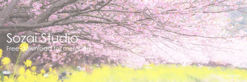 ブログヘッダー用無料画像：桜並木の風景 河津桜と菜の花 4素材
