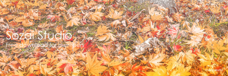 ブログヘッダー用無料画像：秋のイメージ 紅葉の落ち葉 4素材