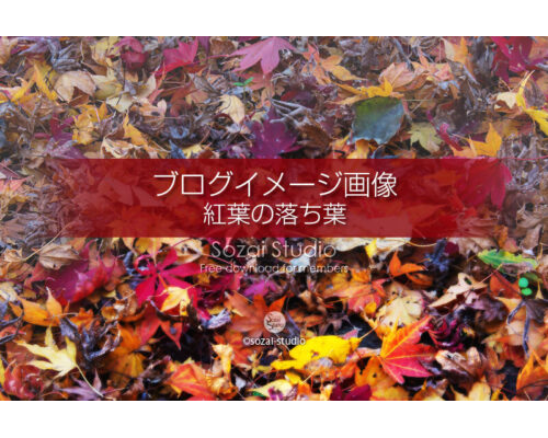 ブログ記事無料アイキャッチ画像：色とりどり紅葉の落ち葉４素材