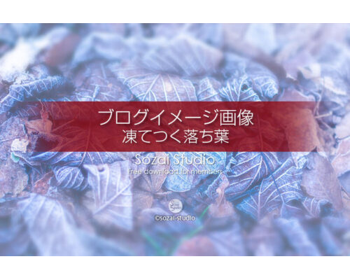 ブログ記事用無料イメージ画像：冬景色 凍てつく落ち葉 ４素材