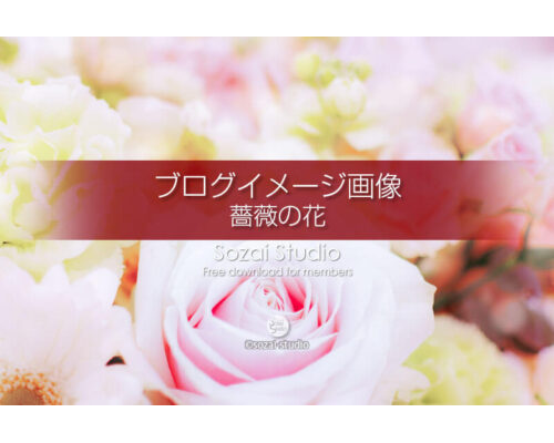 ブログ記事用無料イメージ画像：花シリーズ薔薇の花（2）４素材