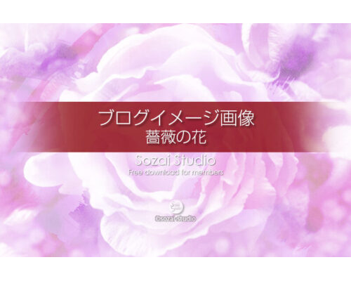 ブログ記事用無料イメージ画像：花シリーズ薔薇の花（１）４素材