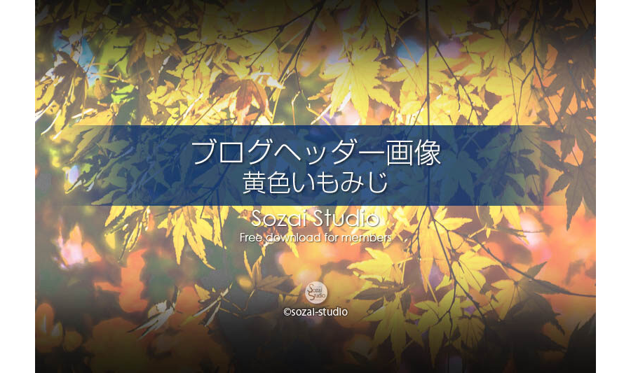 黄色いもみじ：ブログヘッダー画像
