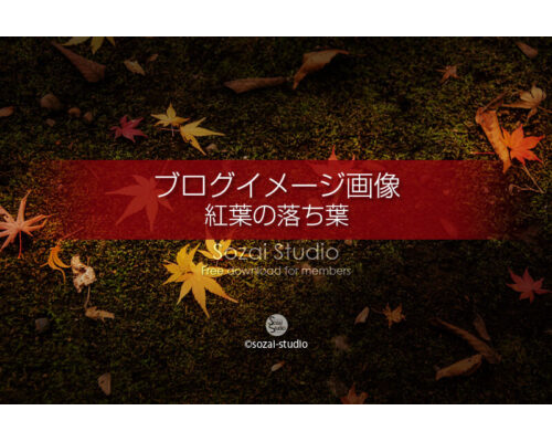 ブログ記事用無料イメージ画像：紅葉の落ち葉 侘び寂び４素材｜写真んを楽しむブログ