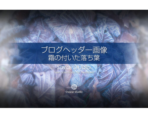 ブログヘッダー用無料画像：霜のついた落ち葉 冬のイメージ画像
