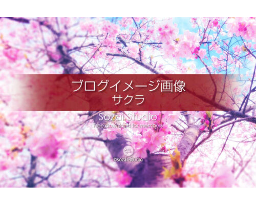 ブログ記事用無料イメージ画像：春のシリーズ桜の花（2）４素材