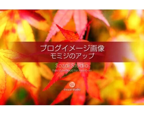 ブログ記事用無料イメージ画像：モミジの葉 紅葉アップ ４素材｜写真を楽しむブログ