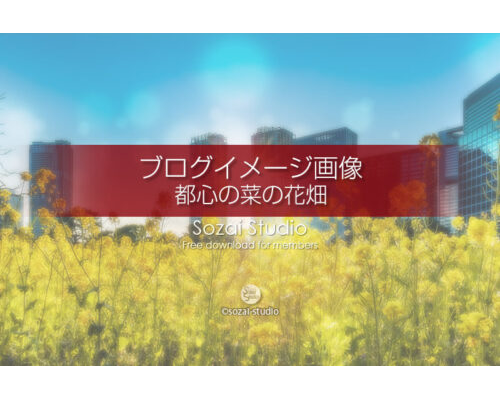 ブログ記事無料アイキャッチ画像：都心の菜の花畑 浜離宮４素材