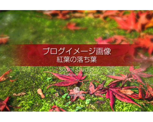 ブログ記事用無料イメージ画像：紅葉の落ち葉 苔の上のモミジ４素材