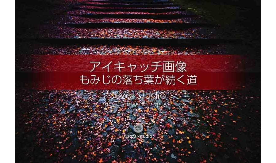 もみじの落ち葉が続く道：ブログ記事用画像