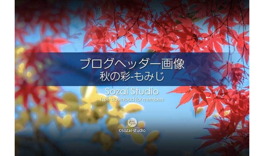 秋の彩 もみじ：ブログヘッダー画像