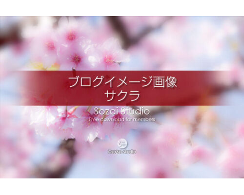 ブログ記事無料アイキャッチ画像：桜のイメージ画像（２）４素材
