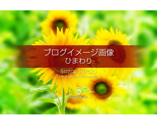 ブログ記事用無料イメージ画像：夏の景色ひまわり ４素材