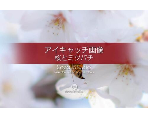 桜の花びら画像〜桜とミツバチ：ブログ記事無料アイキャッチ画像