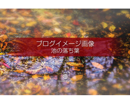 ブログ記事無料アイキャッチ画像：紅葉 池の中の落ち葉４素材｜写真を楽しむブログ 写真ブログ素材