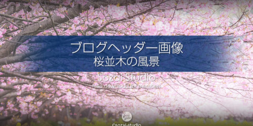 ブログヘッダー用無料画像 桜並木の風景 河津桜と菜の花 4素材