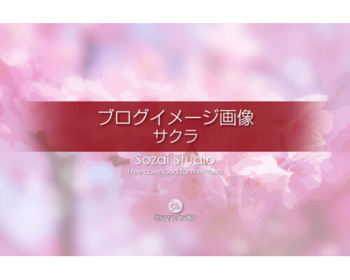 ブログ記事用無料イメージ画像：春のシリーズ桜の花（１）４素材