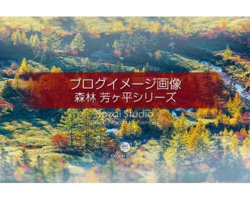 ブログ記事用無料イメージ画像：森林シリーズ 芳ヶ平湿原-01