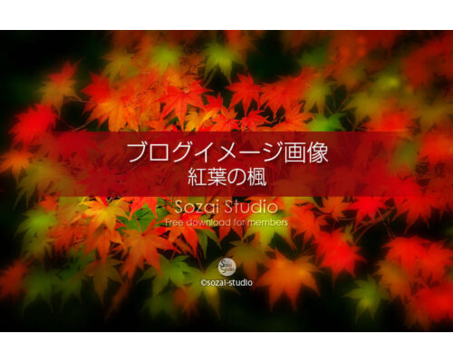 ブログ記事用無料イメージ画像：秋の象徴 紅葉のカエデ４素材