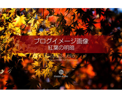 ブログ記事用無料イメージ画像：紅葉のある風景 明と暗４素材｜写真を楽しむブログ